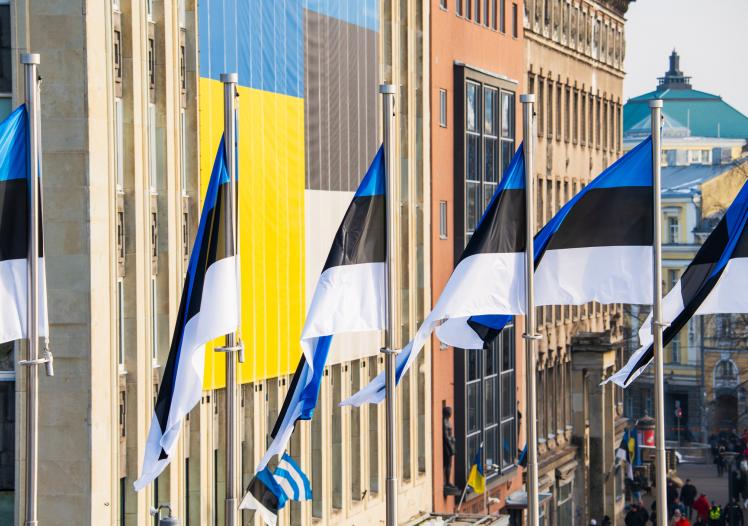 Estonian flags 