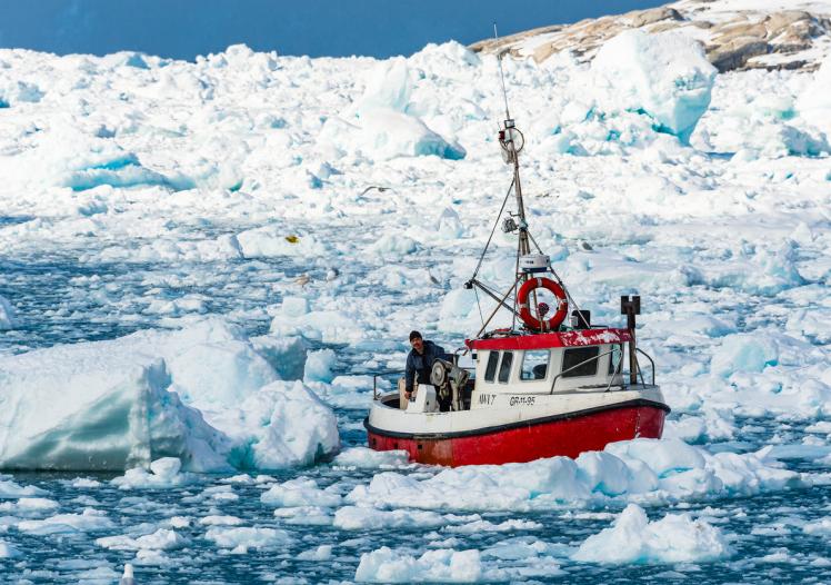 Fishing boat navigates icy fjord waters in Greenland surrounded by drifting icebergs