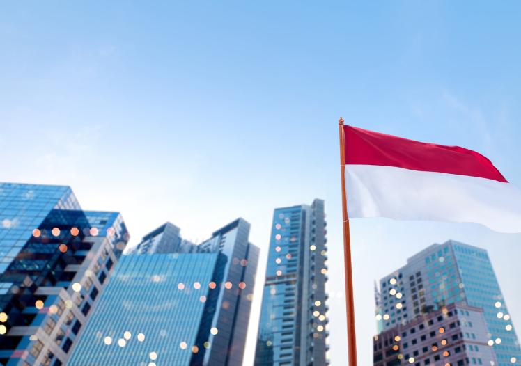 Indonesian flag