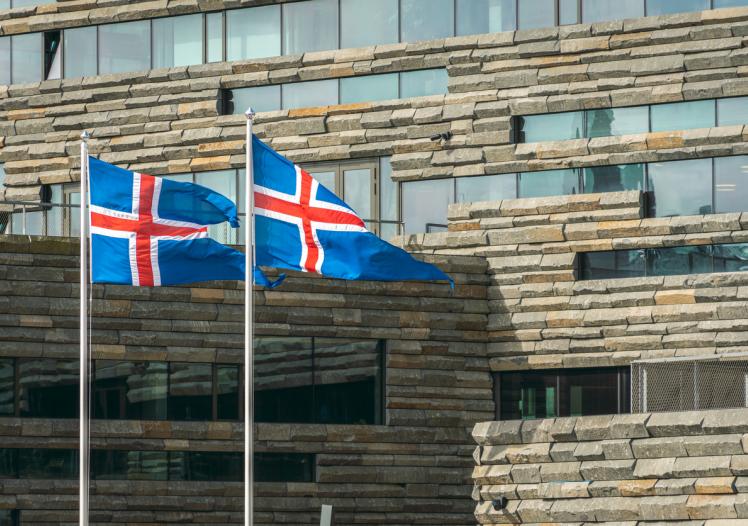 National flags of Iceland 