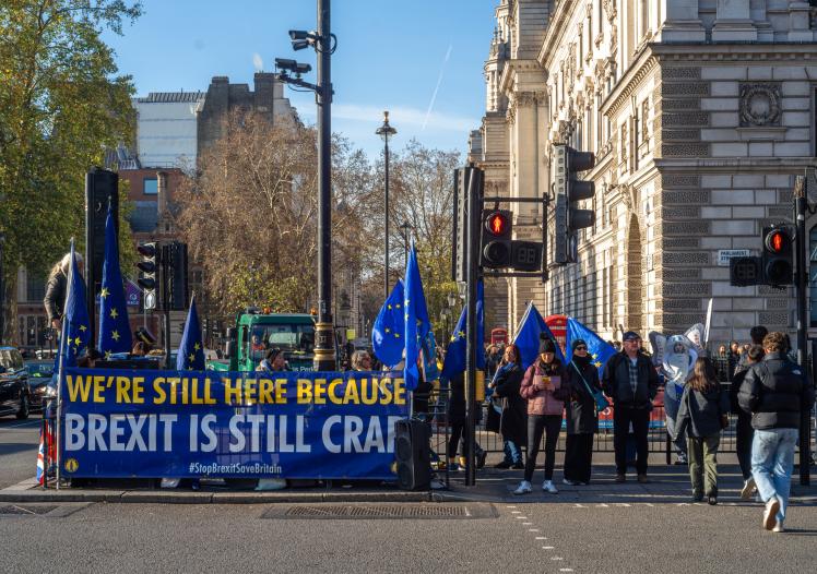 Anti-Brexit Protest 