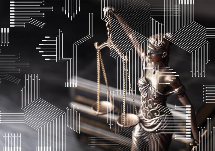 Law