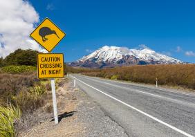 Mount Ruapehu in New Zealand