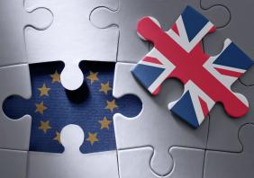 Brexit puzzle