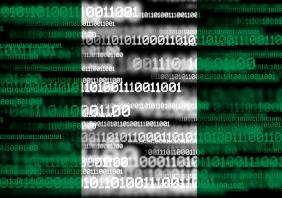 Nigerian flag digitised