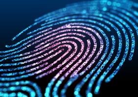 Digital fingerprint