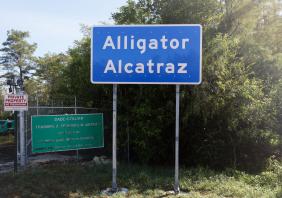 Alligator Alcatraz