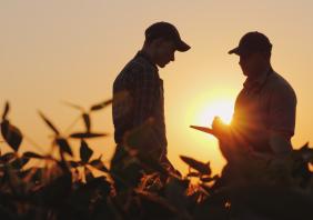 Two farmers talk on the field