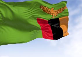 Zambia national flag