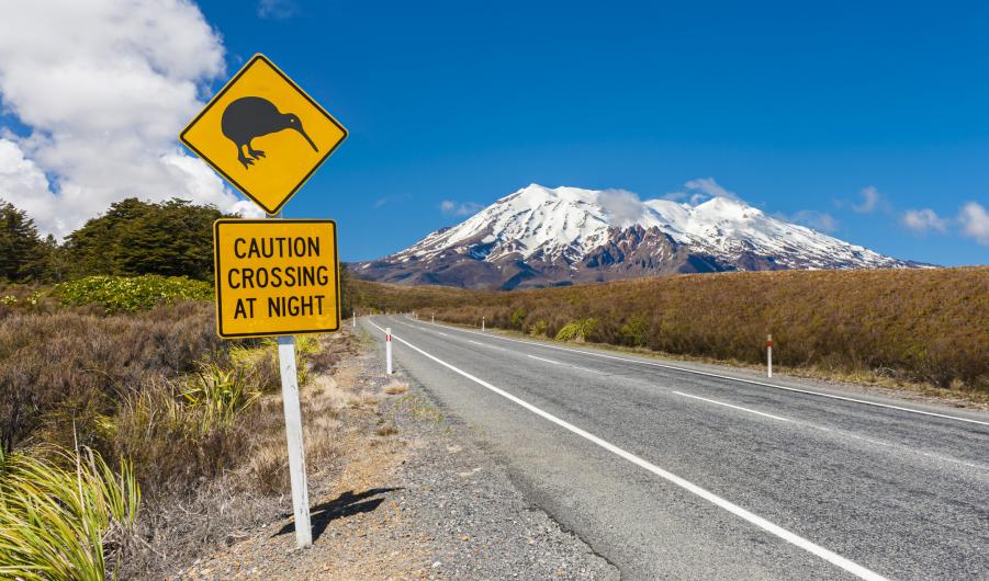 Mount Ruapehu in New Zealand