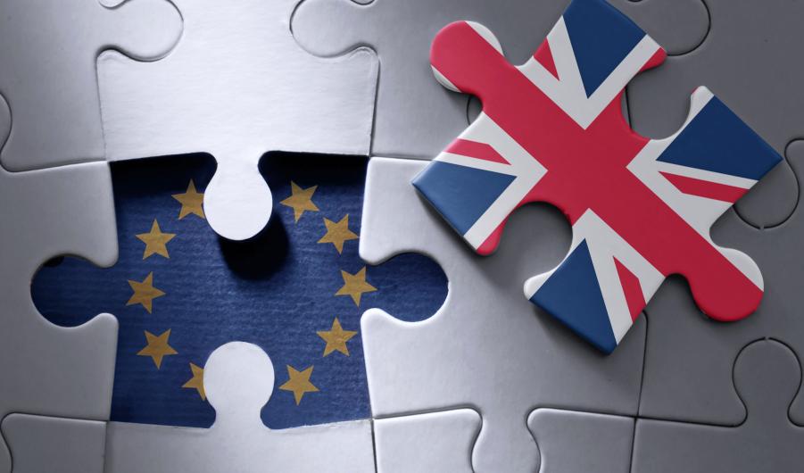Brexit puzzle