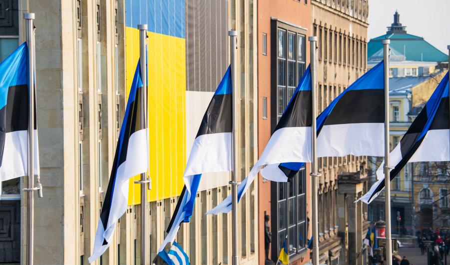 Estonian flags 