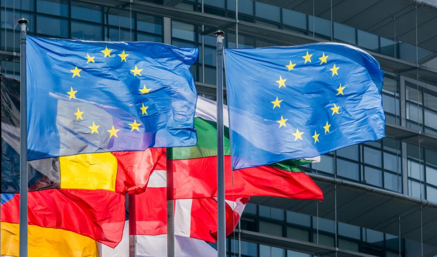 EU flags