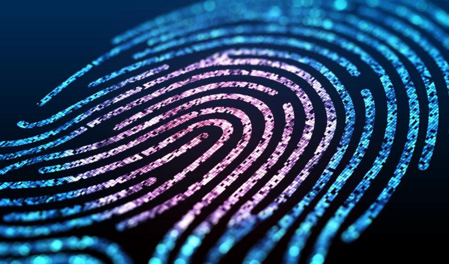 Digital fingerprint