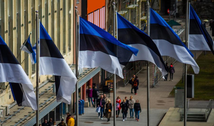 Estonian flags on the background of a pedestrian street in Tallinn