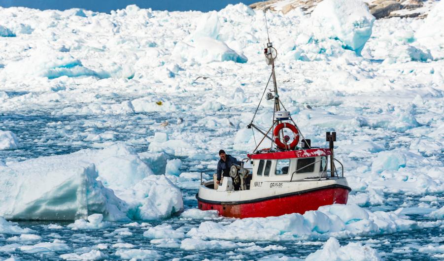 Fishing boat navigates icy fjord waters in Greenland surrounded by drifting icebergs