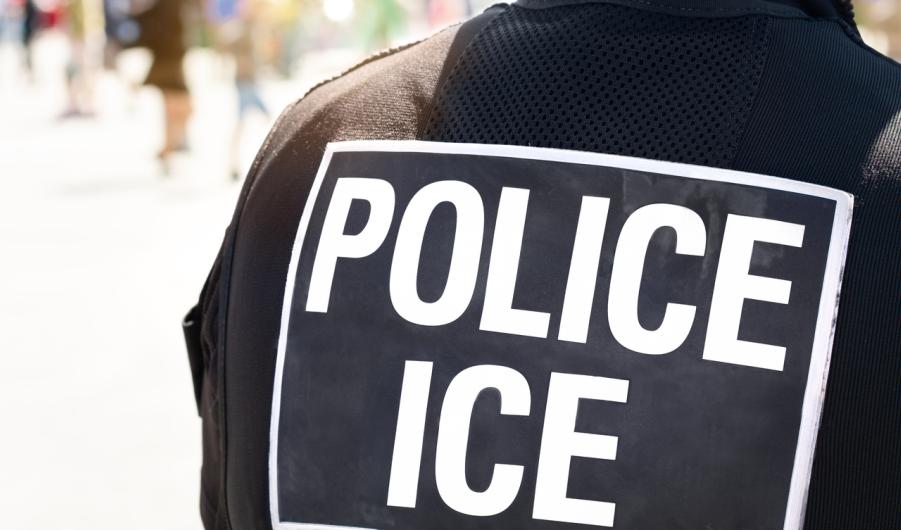Ice Police Immigration and Customs Enforcement