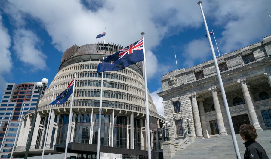 New Zealand government