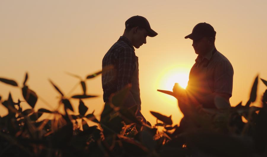 Two farmers talk on the field