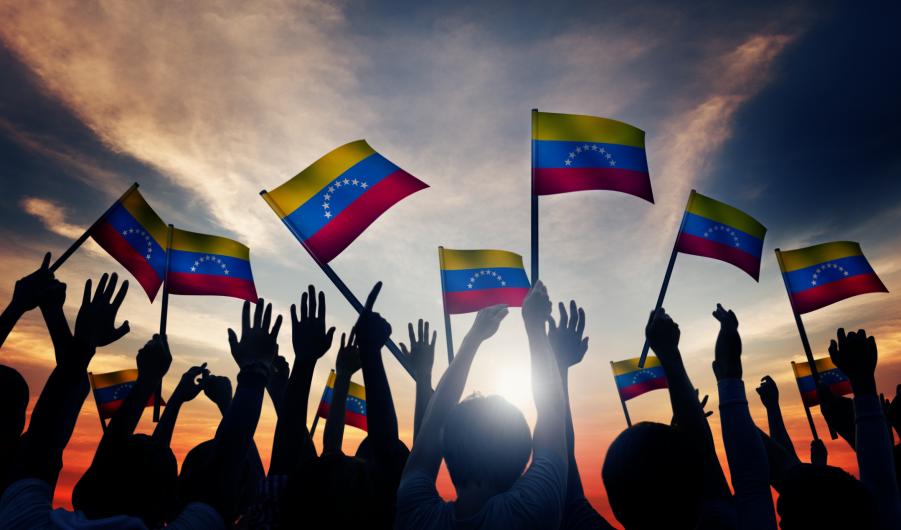Group of People Waving Venezuelan Flags